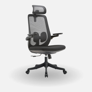 Apex Evo Ergonomic Office Chair