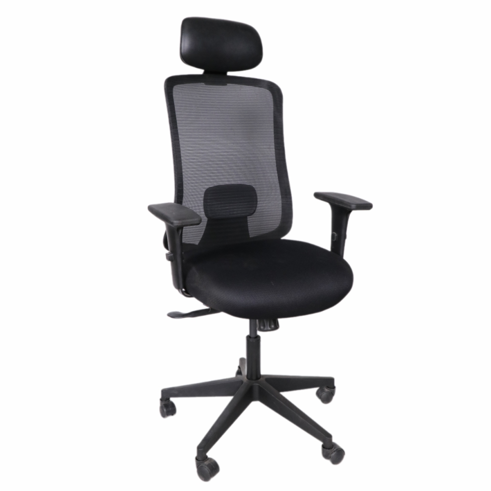 ERGOSMART Smart Office Chair Mesh Fabric